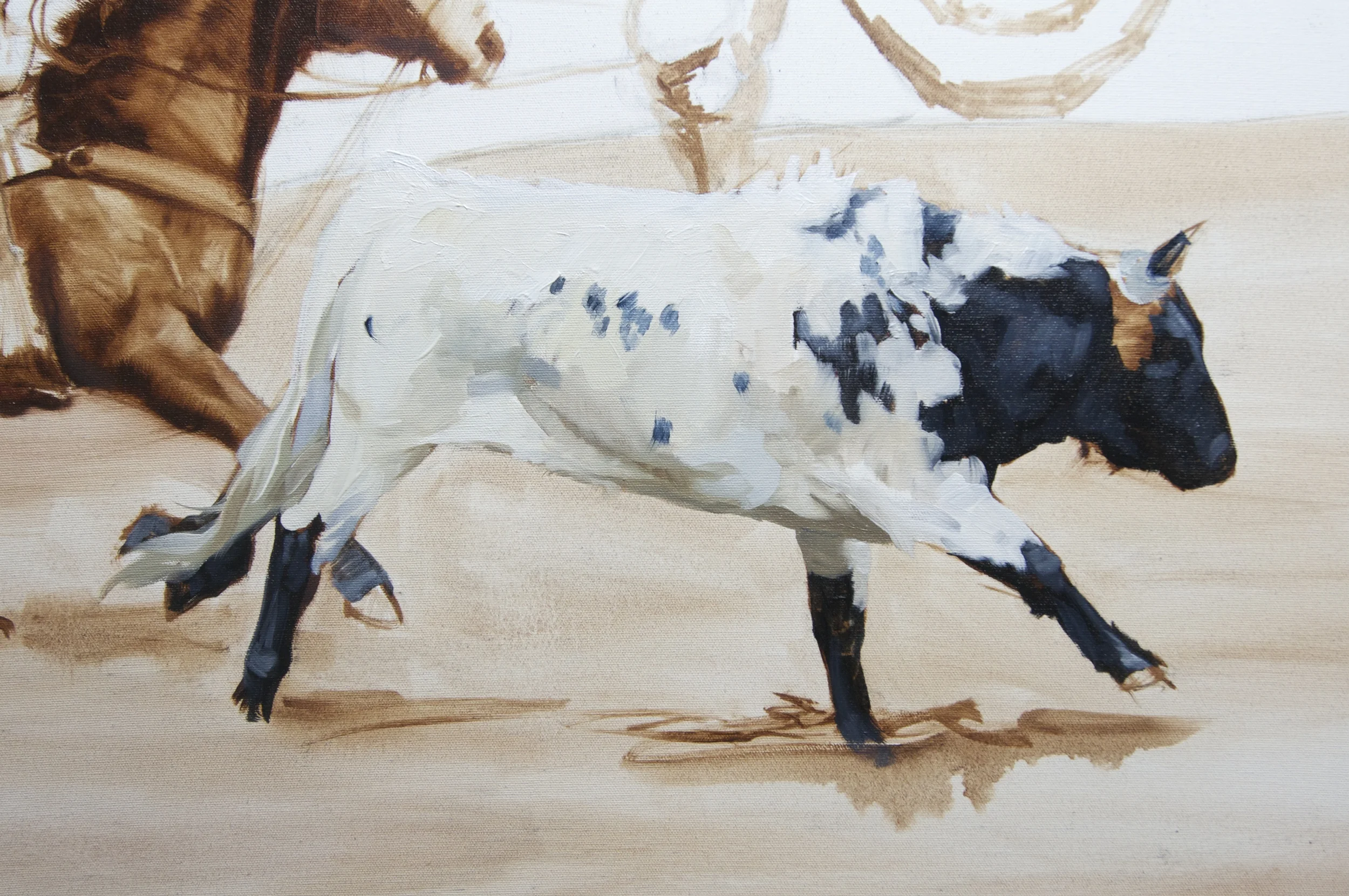 Close-up of steer.`