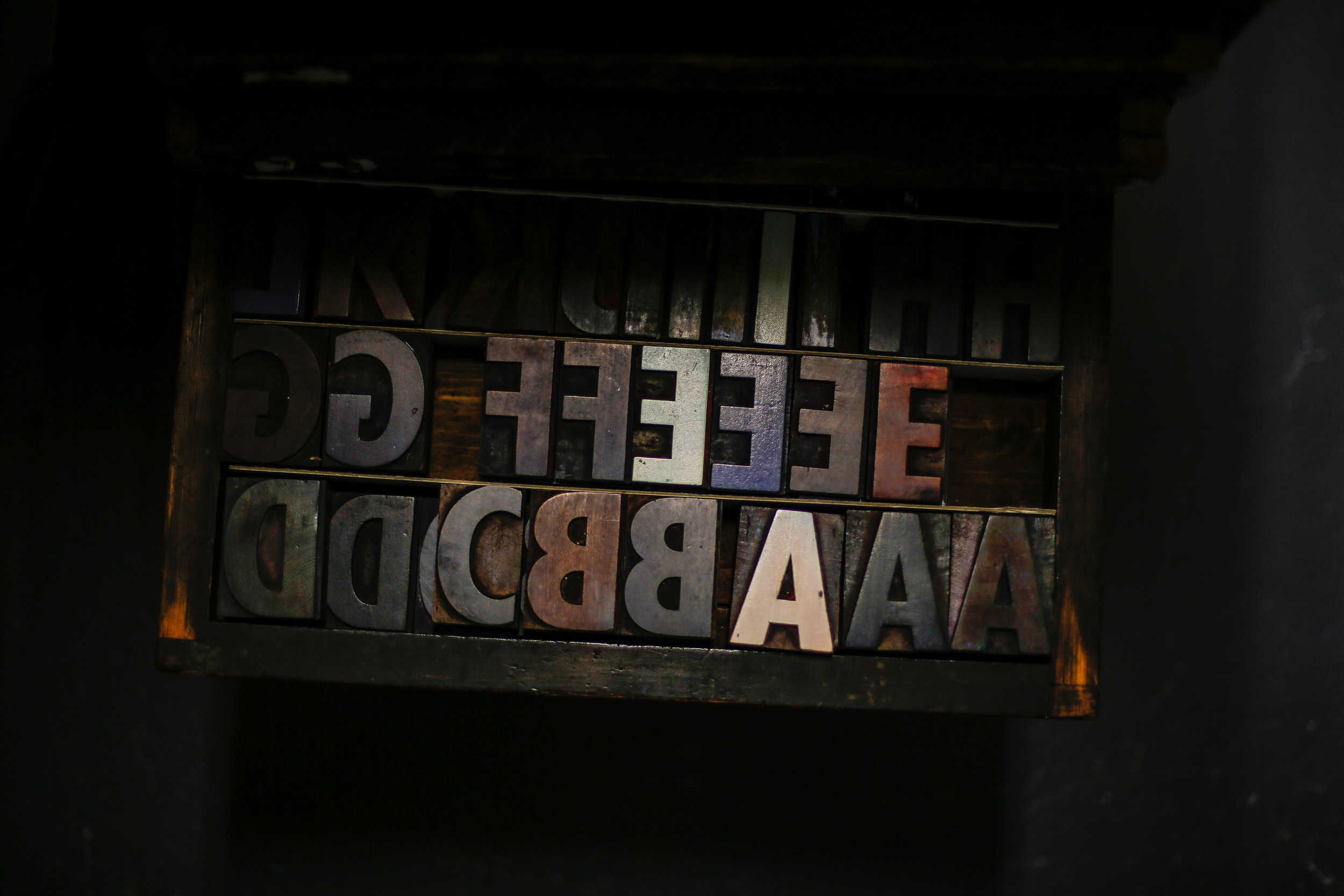 Birds & Words- Workshop-31.jpg
