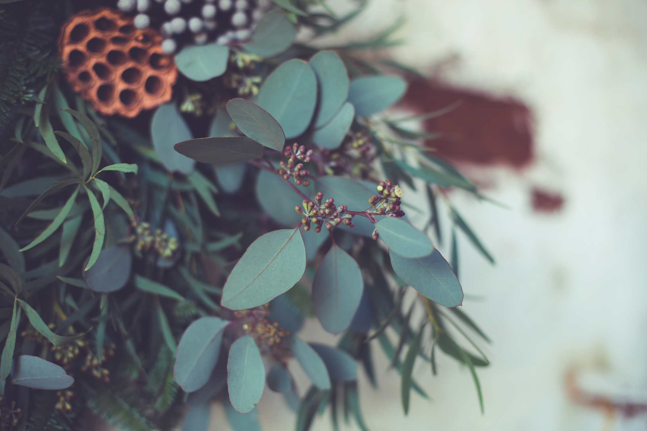 Wreath foraging-3-2.jpg