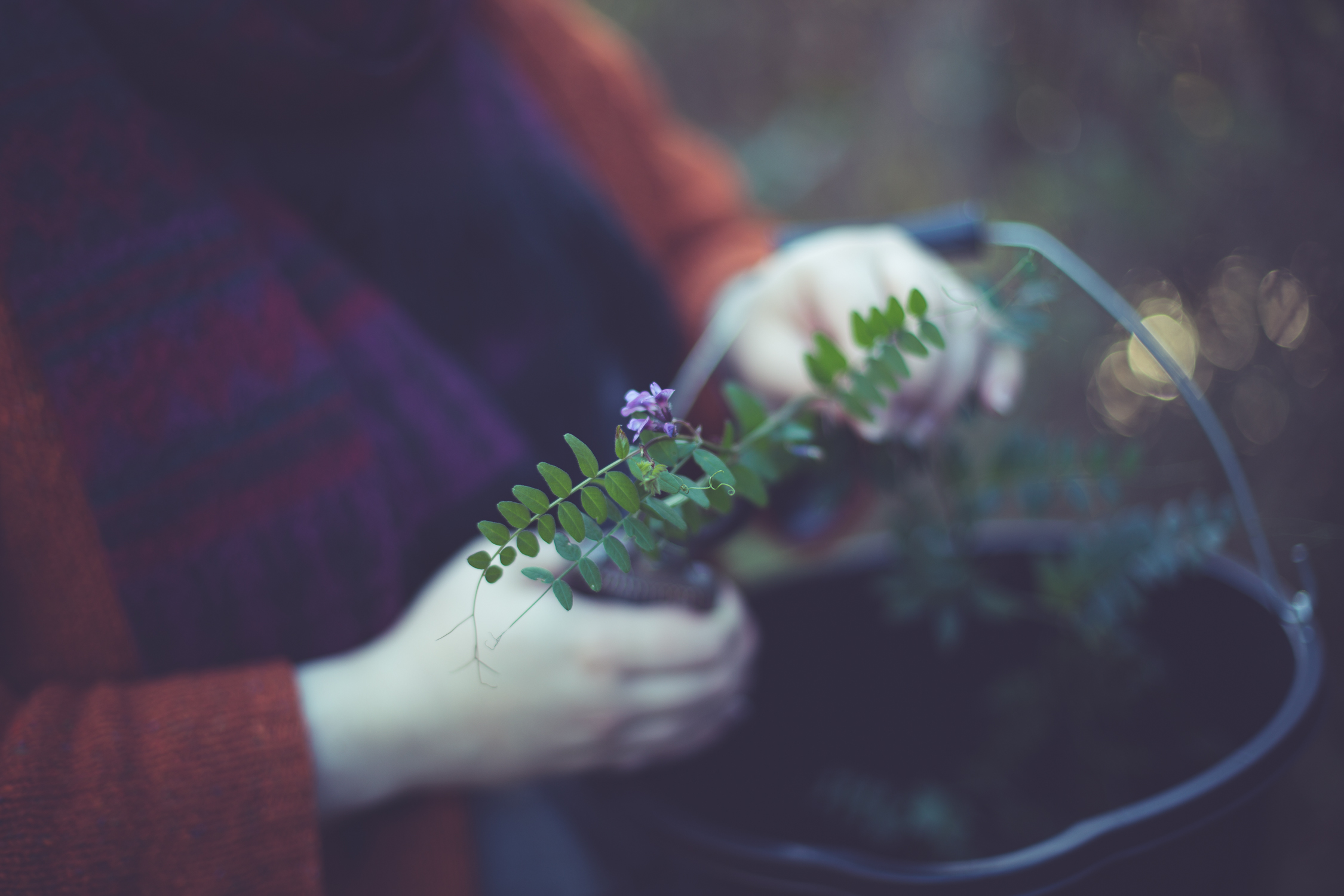 Wreath foraging-3.jpg