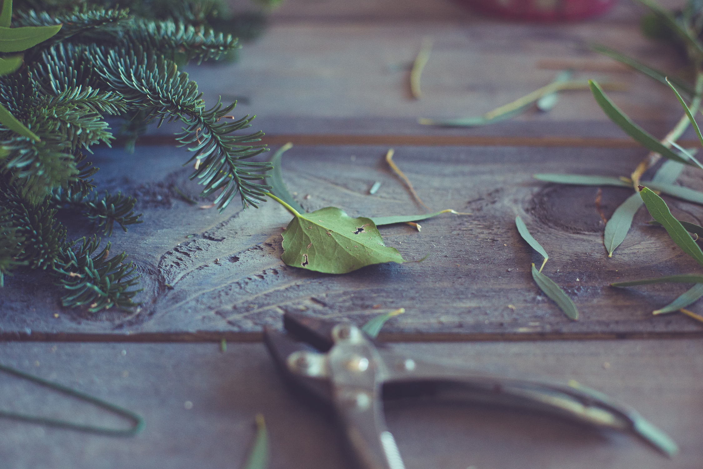 Wreath foraging-15.jpg