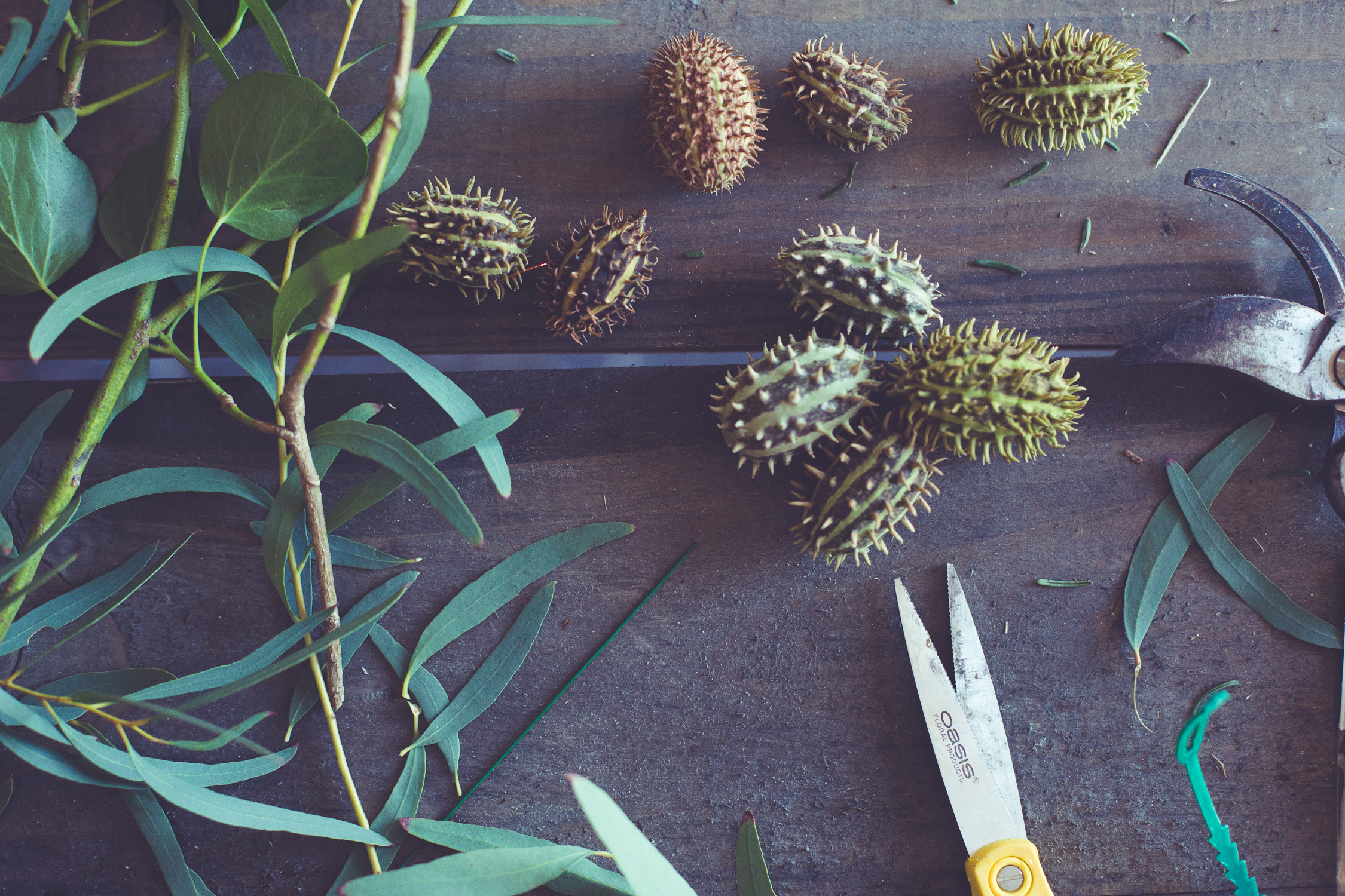 Wreath foraging-16.jpg
