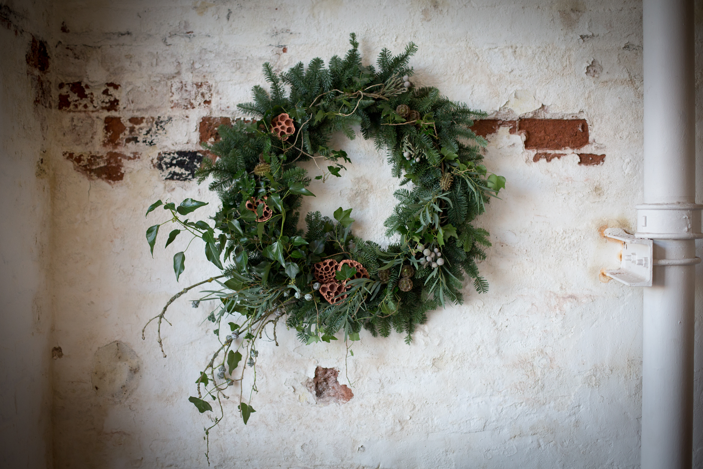 Wreath foraging-17.jpg