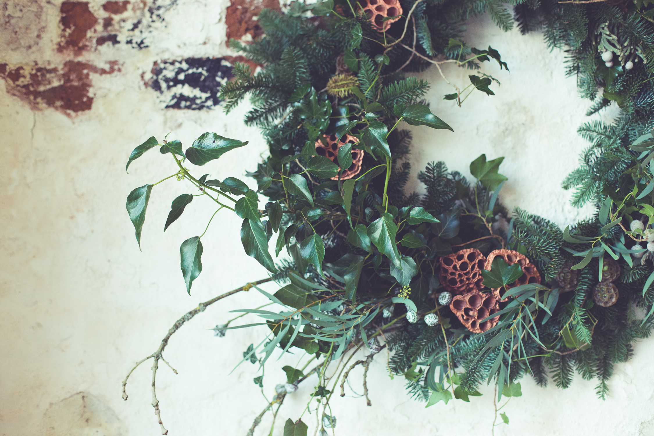 Wreath foraging-19.jpg