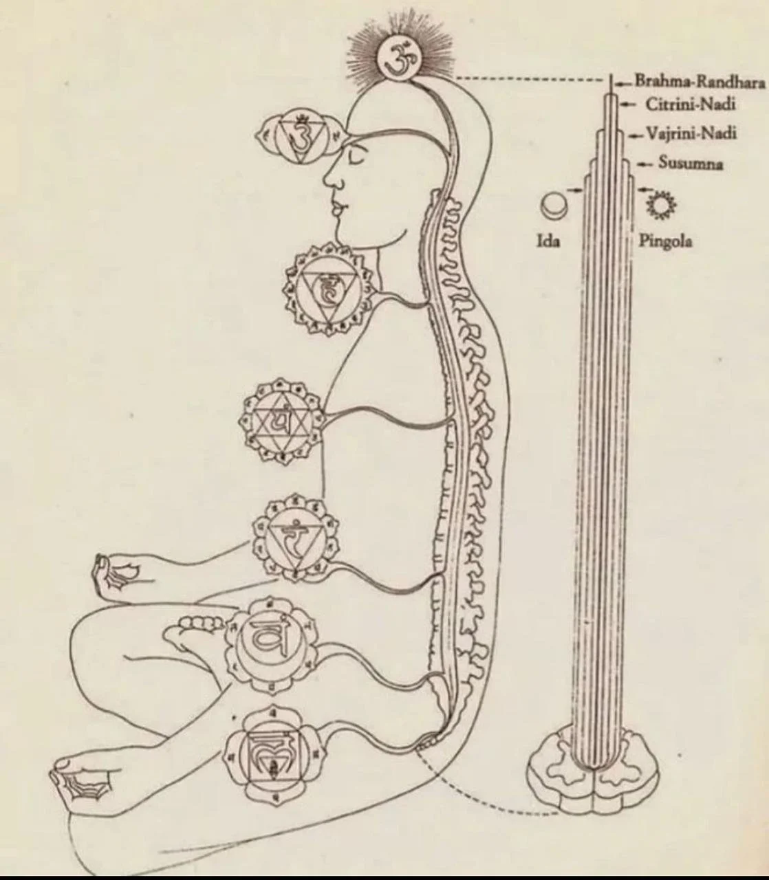 What Does Kundalini Really Mean in Kundalini Yoga?