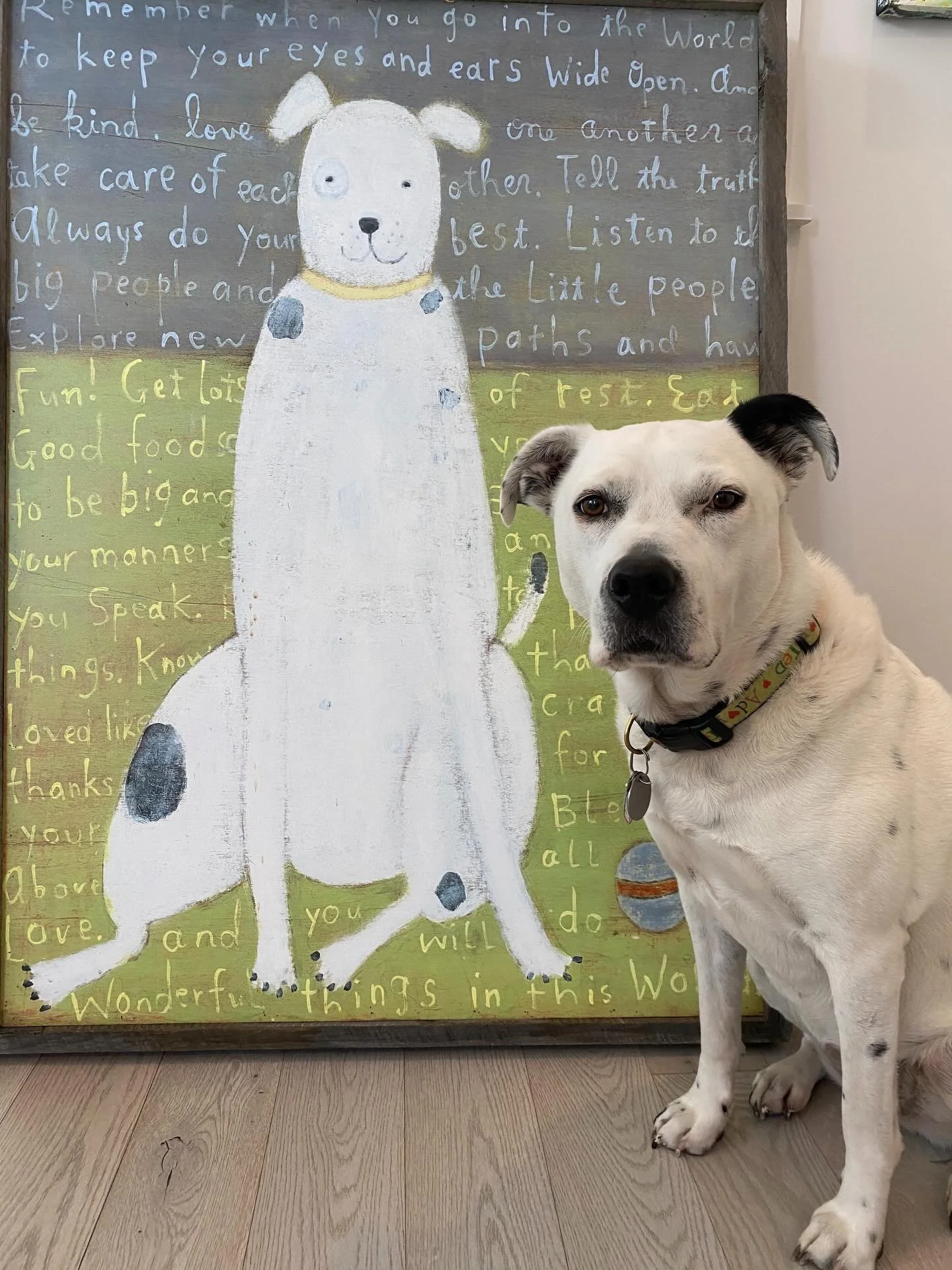Ivy Jane 🤍
She has two names because she&rsquo;s a Southern girl and a personality big enough to deserve both. She often surprises clients because she can open the front door by herself&hellip; I just wish I could teach her to close it 😂
