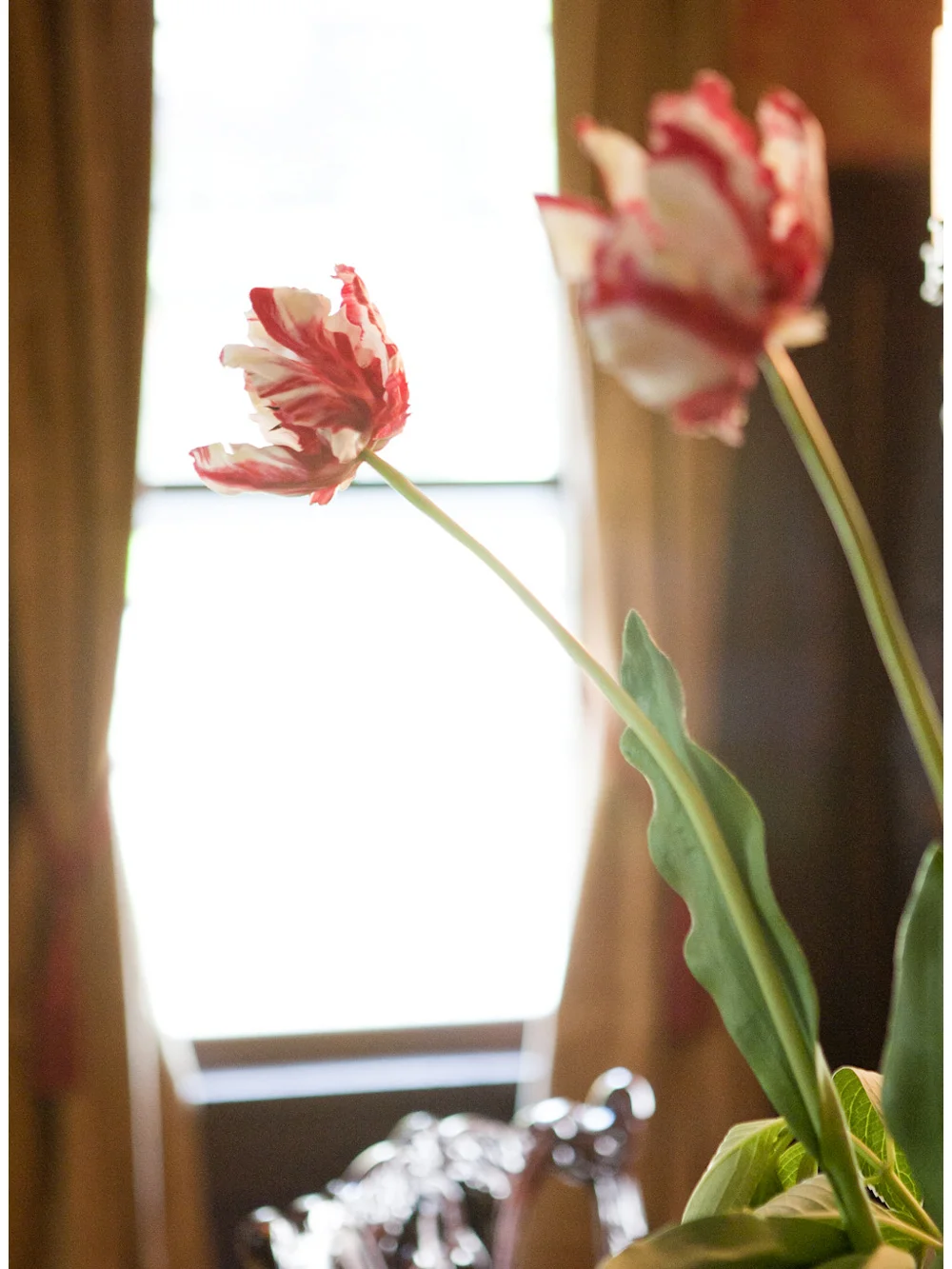 flower.jpg