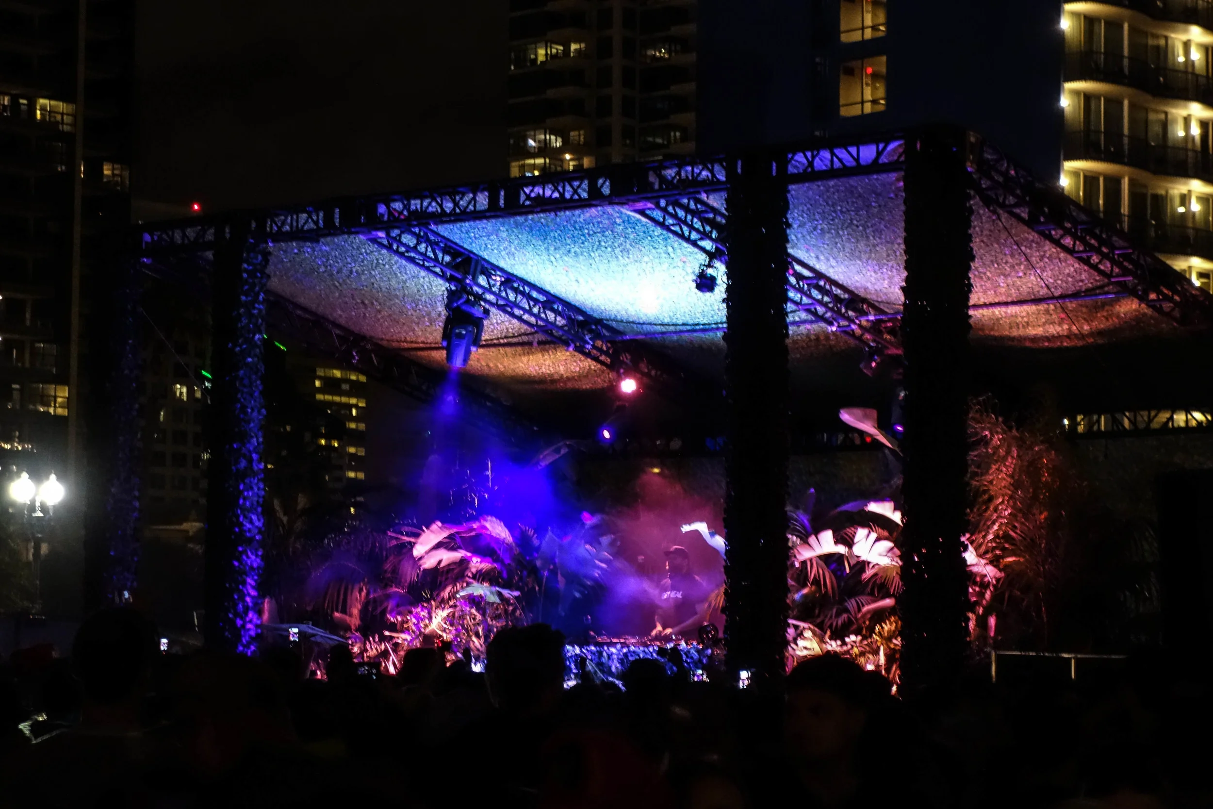 DSC08994.jpg