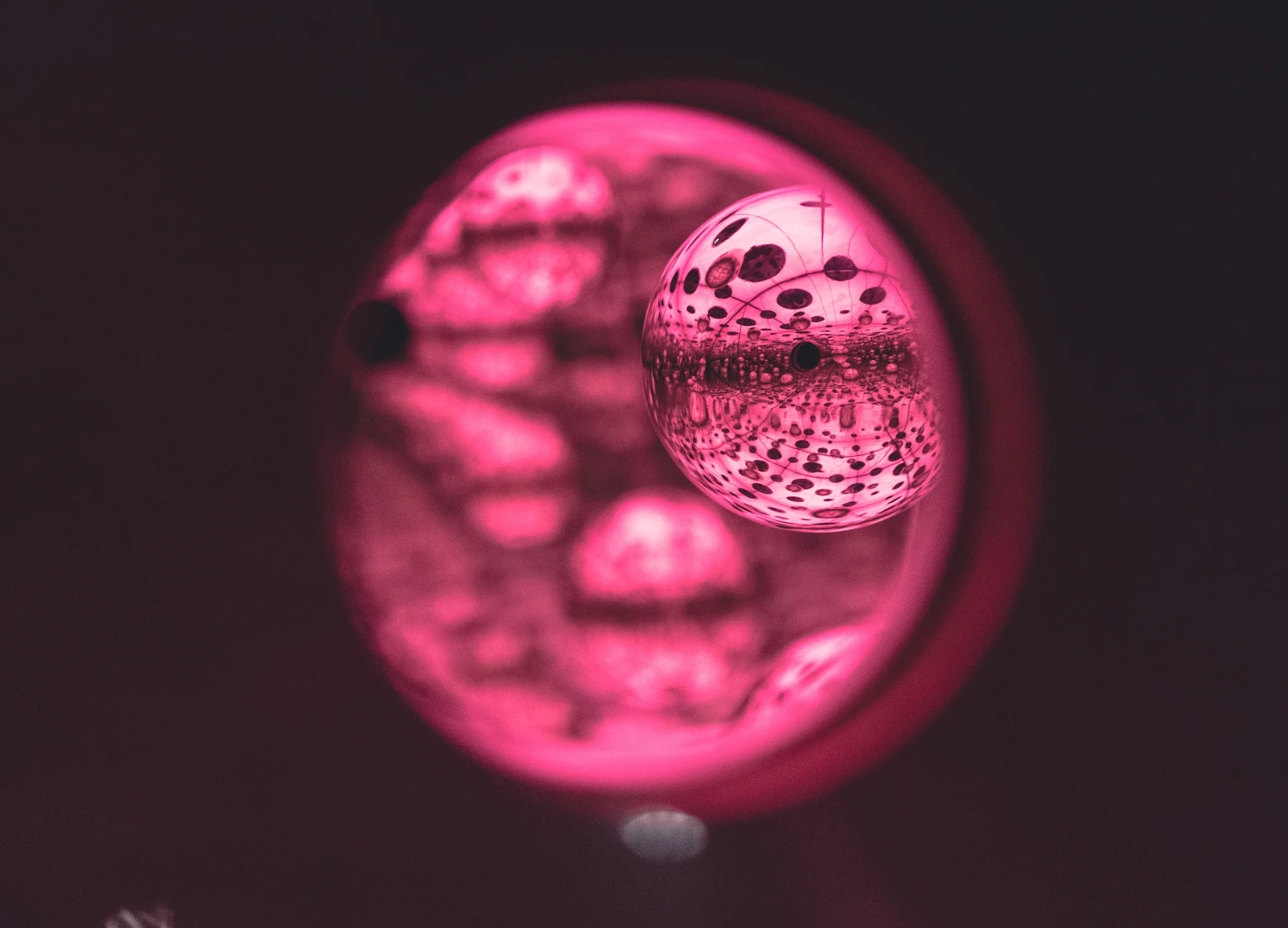 GOTO-2067.jpg