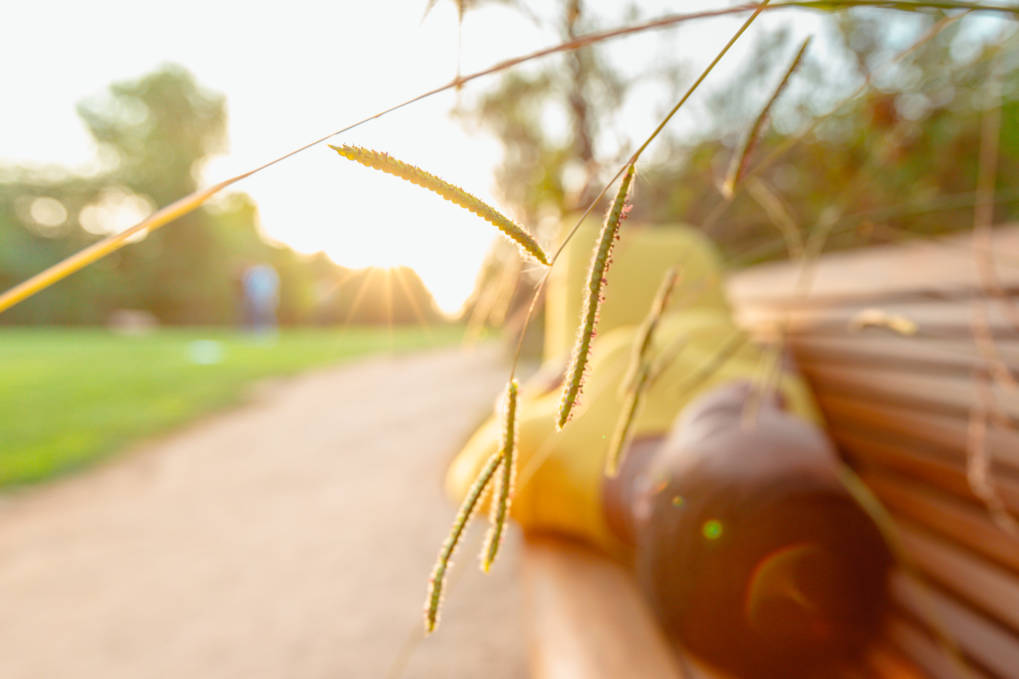 Photo Sep 01, 6 46 31 PM.jpg