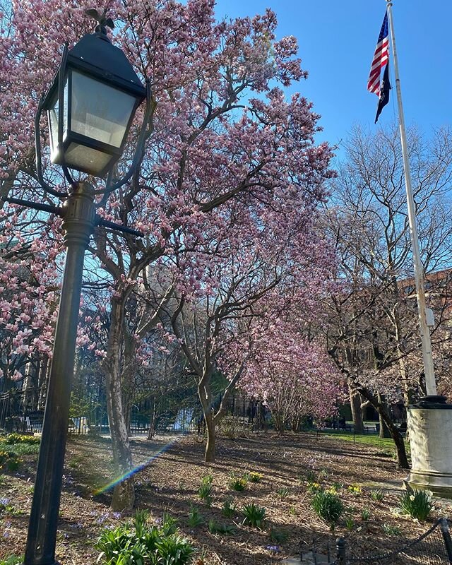 Morning walk- so happy to get outside today.