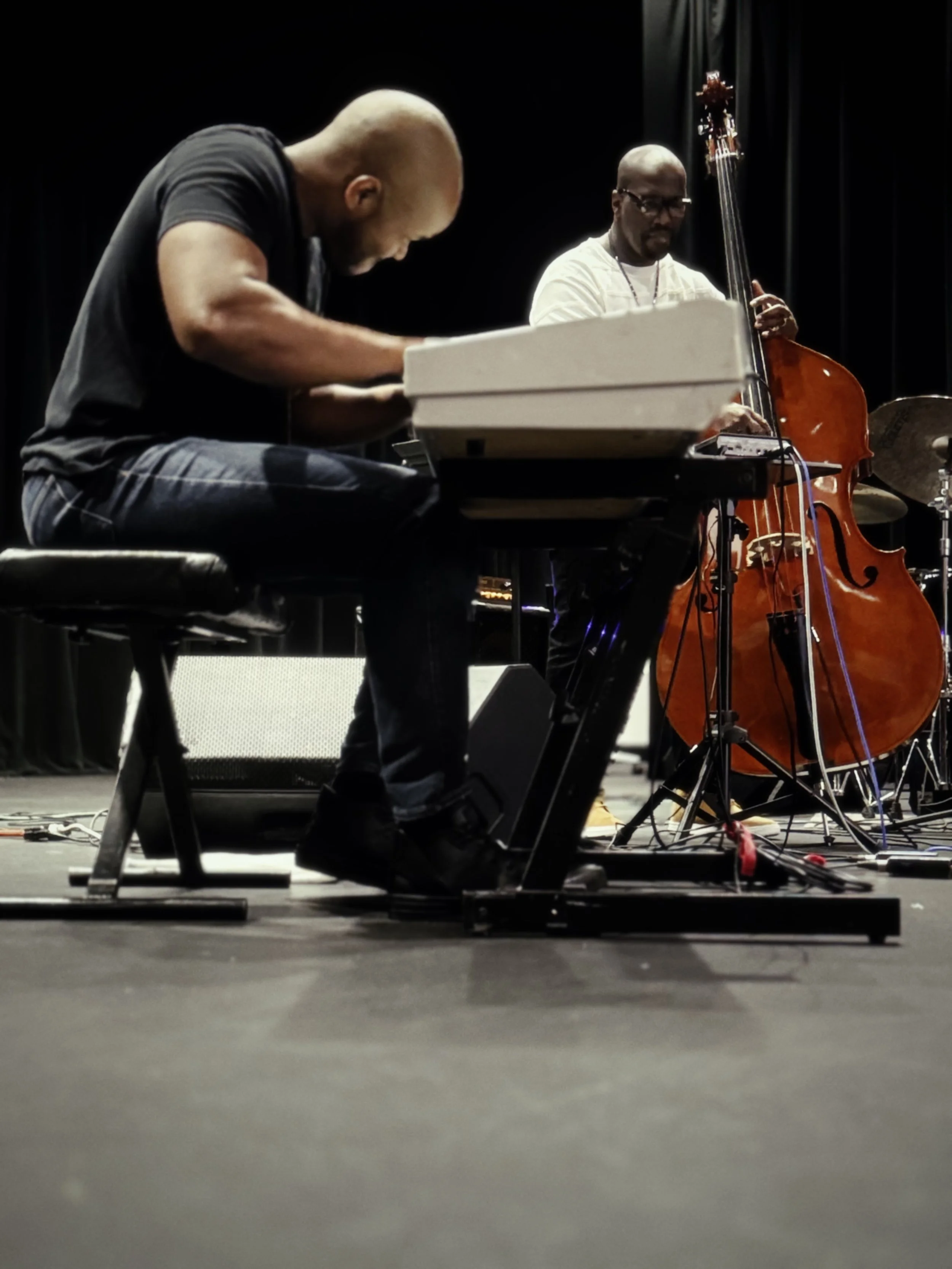 dmc-gallery-piano-action.jpg