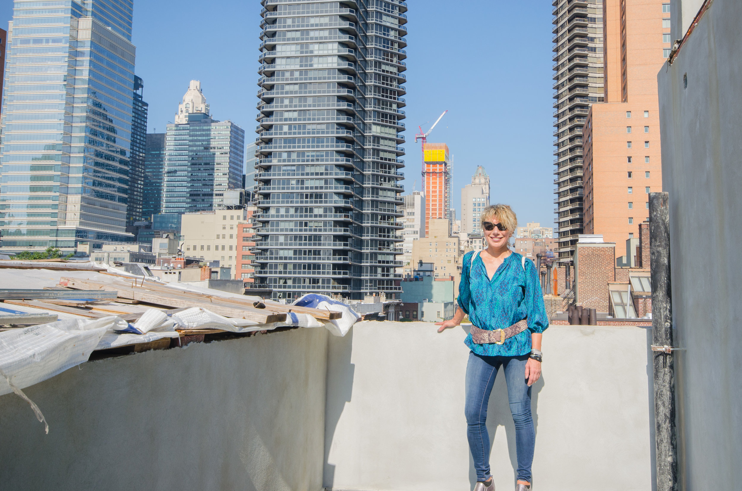  Caterina on the rooftop where the emergency generator will be located.  TRA Studio architecture, Townhouse, Upper East Side, New York, NY, Design, Modern, 251 East 61st Street, Construction, Renovation, Adaptive Reuse 