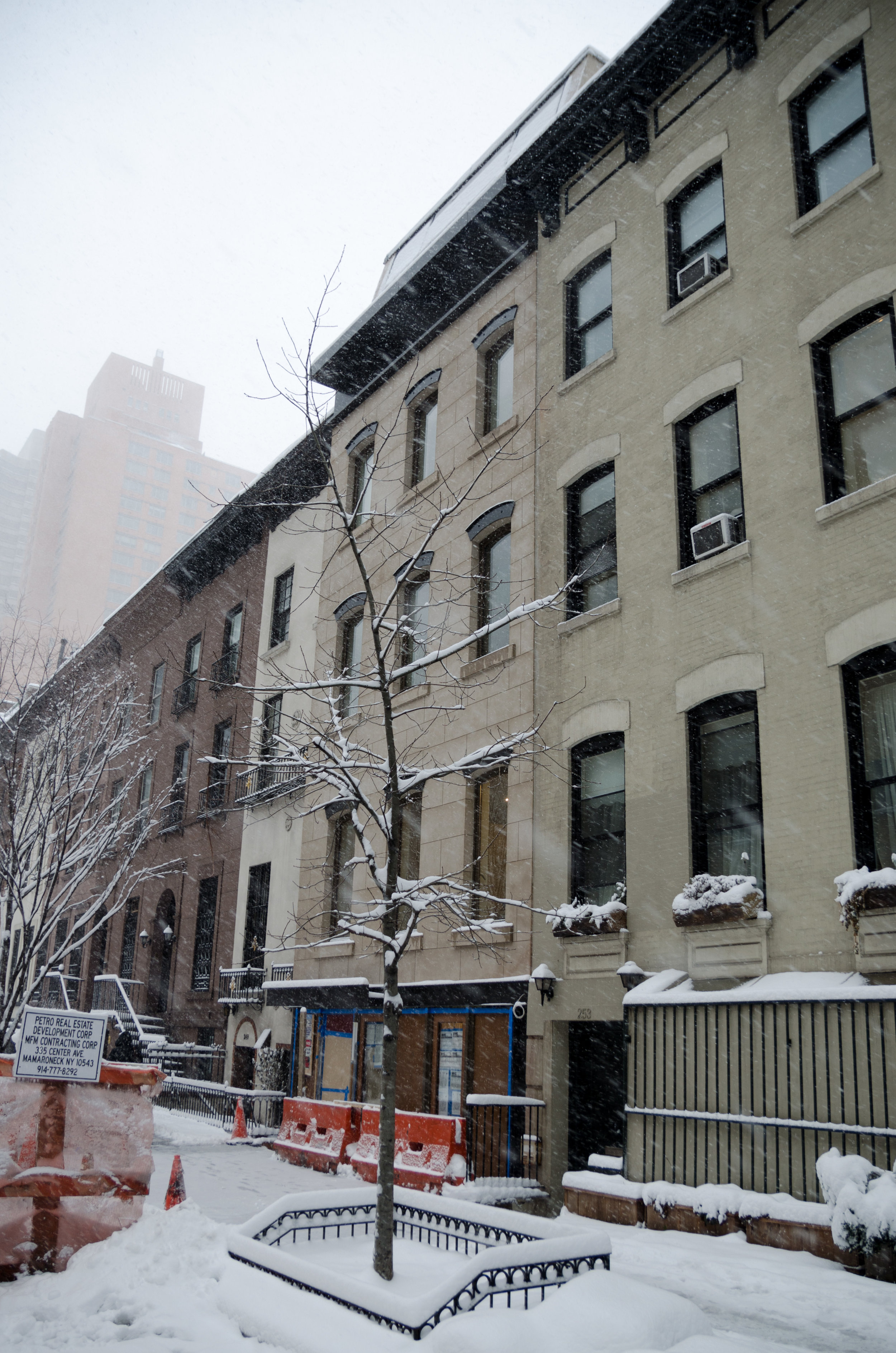 2017-02-09 - Snow Storm-9.jpg
