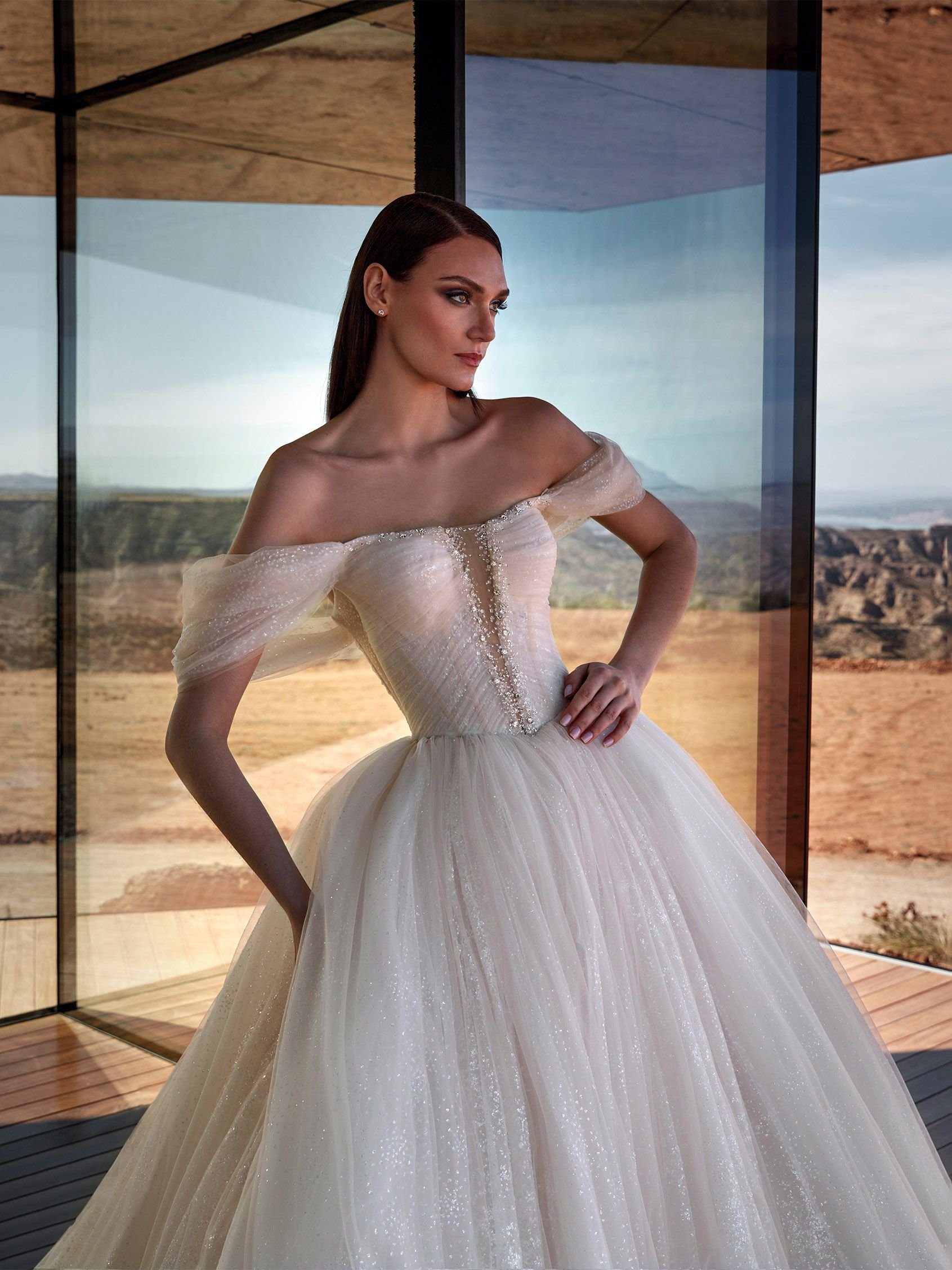 Stardust by Pronovias Privee