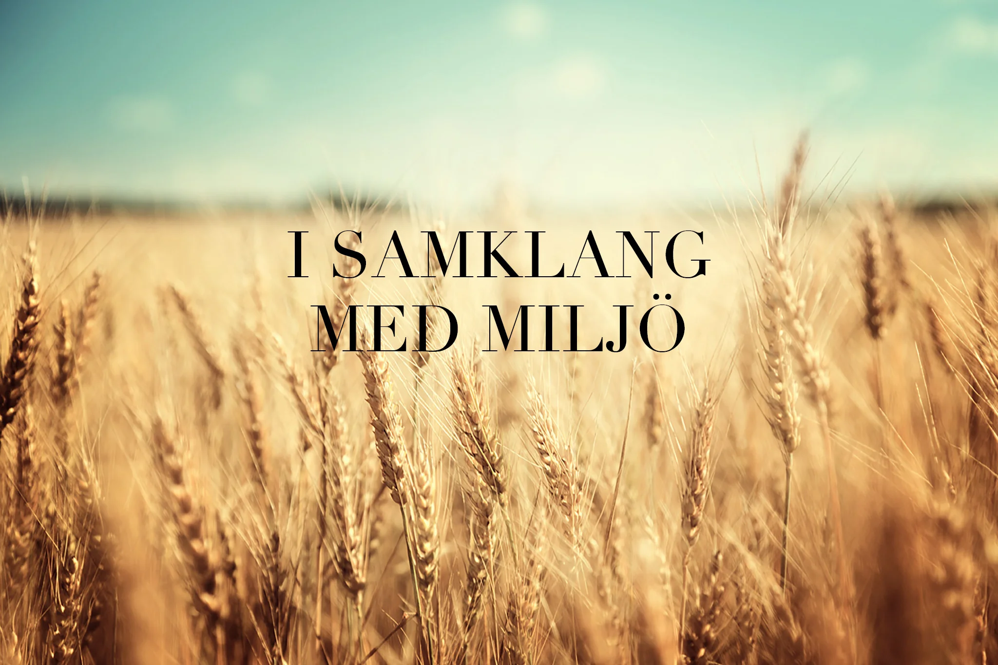 samklang.jpg