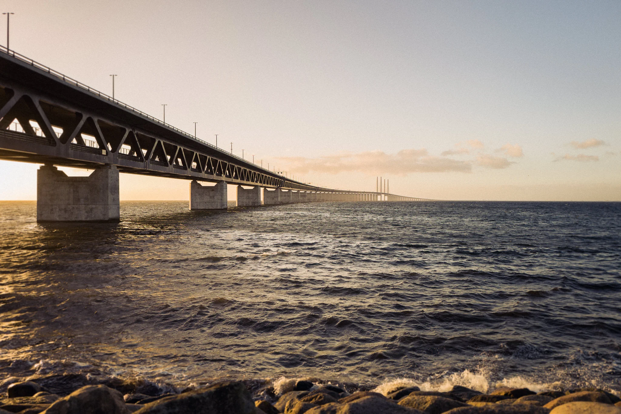 365project-21.jpg