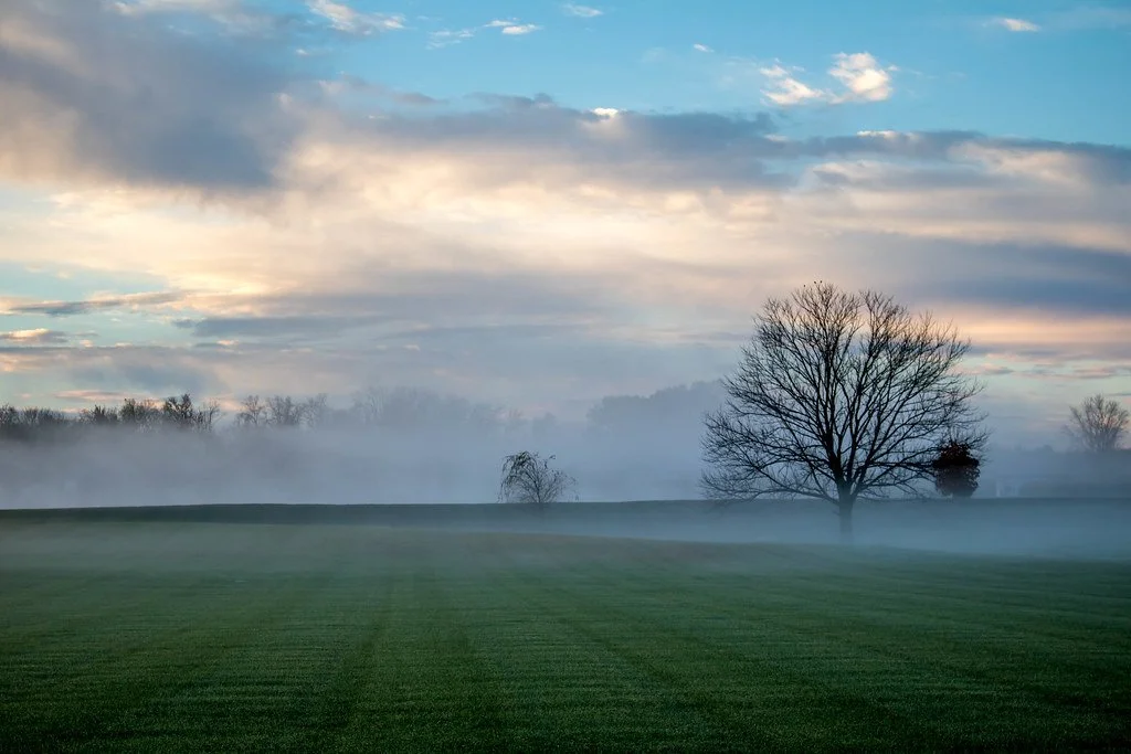 flickr_MorningFog.jpg