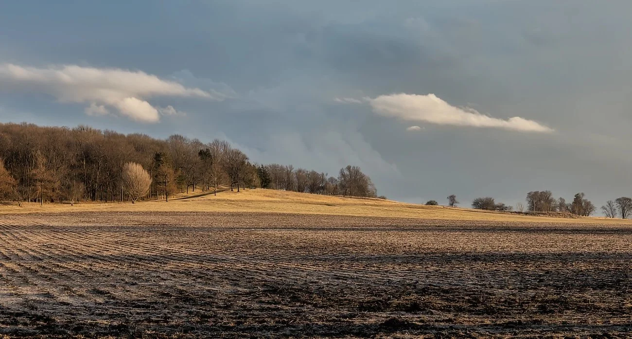 NationalParks_fields.jpg
