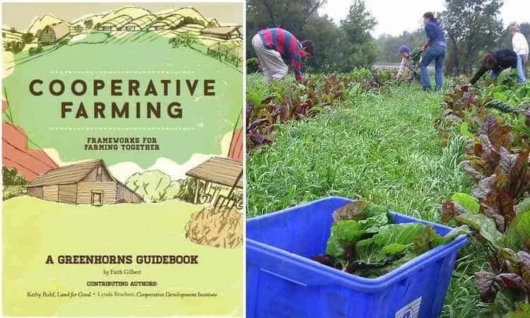 Cooperative_Farming.jpg