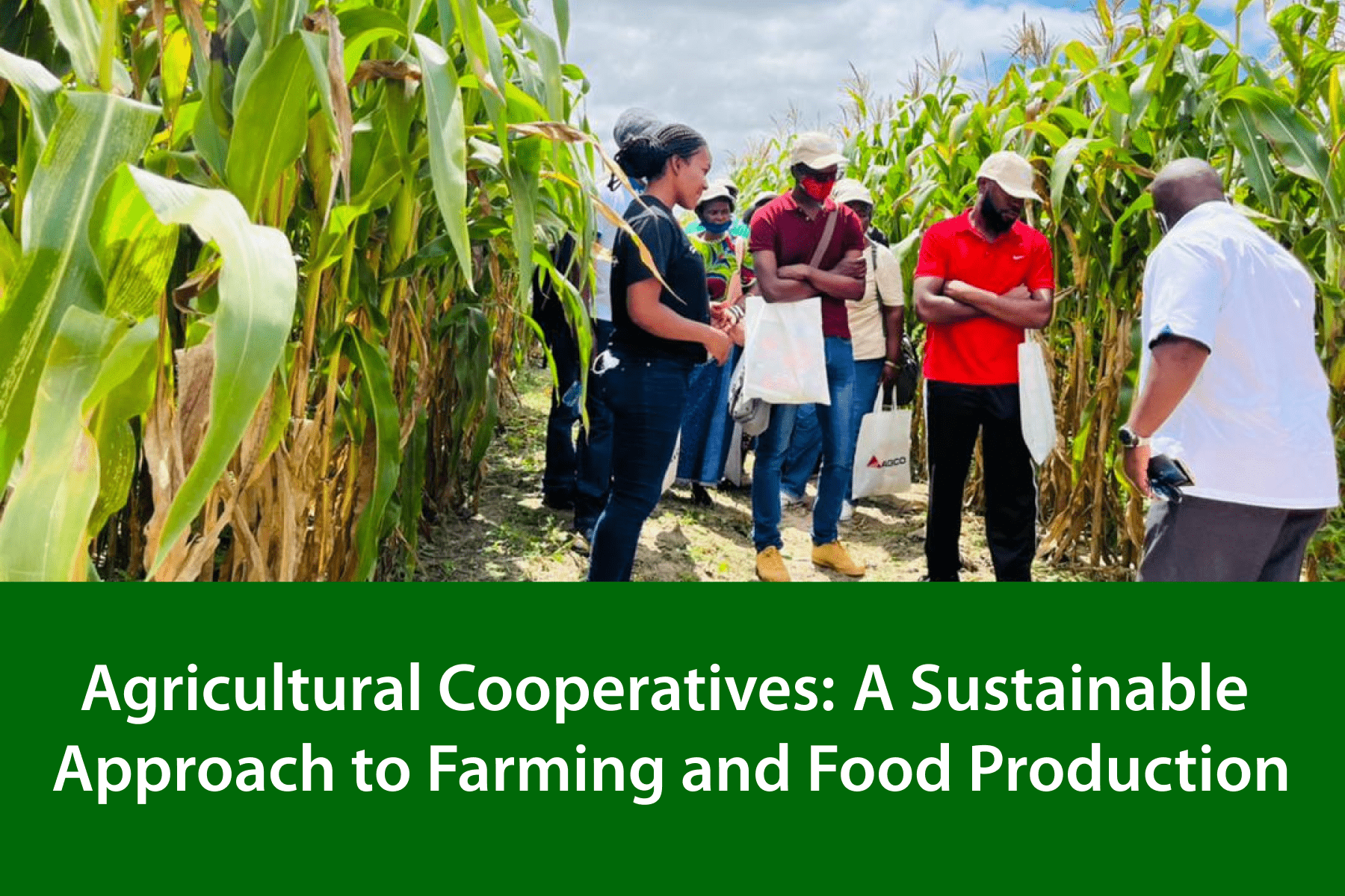 Tips-for-Optimizing-Your-Agricultural-Cooperative.png