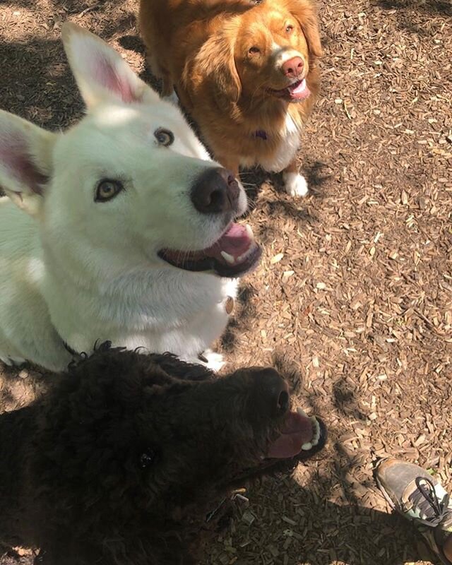 Handsome man Gus with his friends.

#gus#mooshi#ninja#omdto