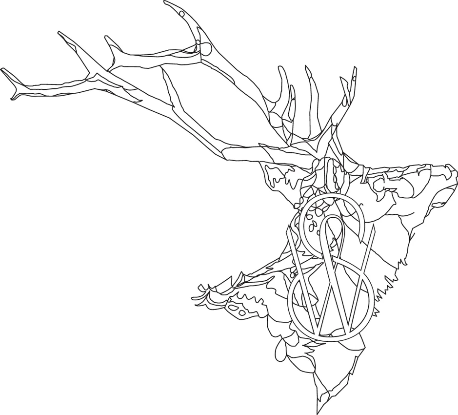 Susie's stag head lr.jpg