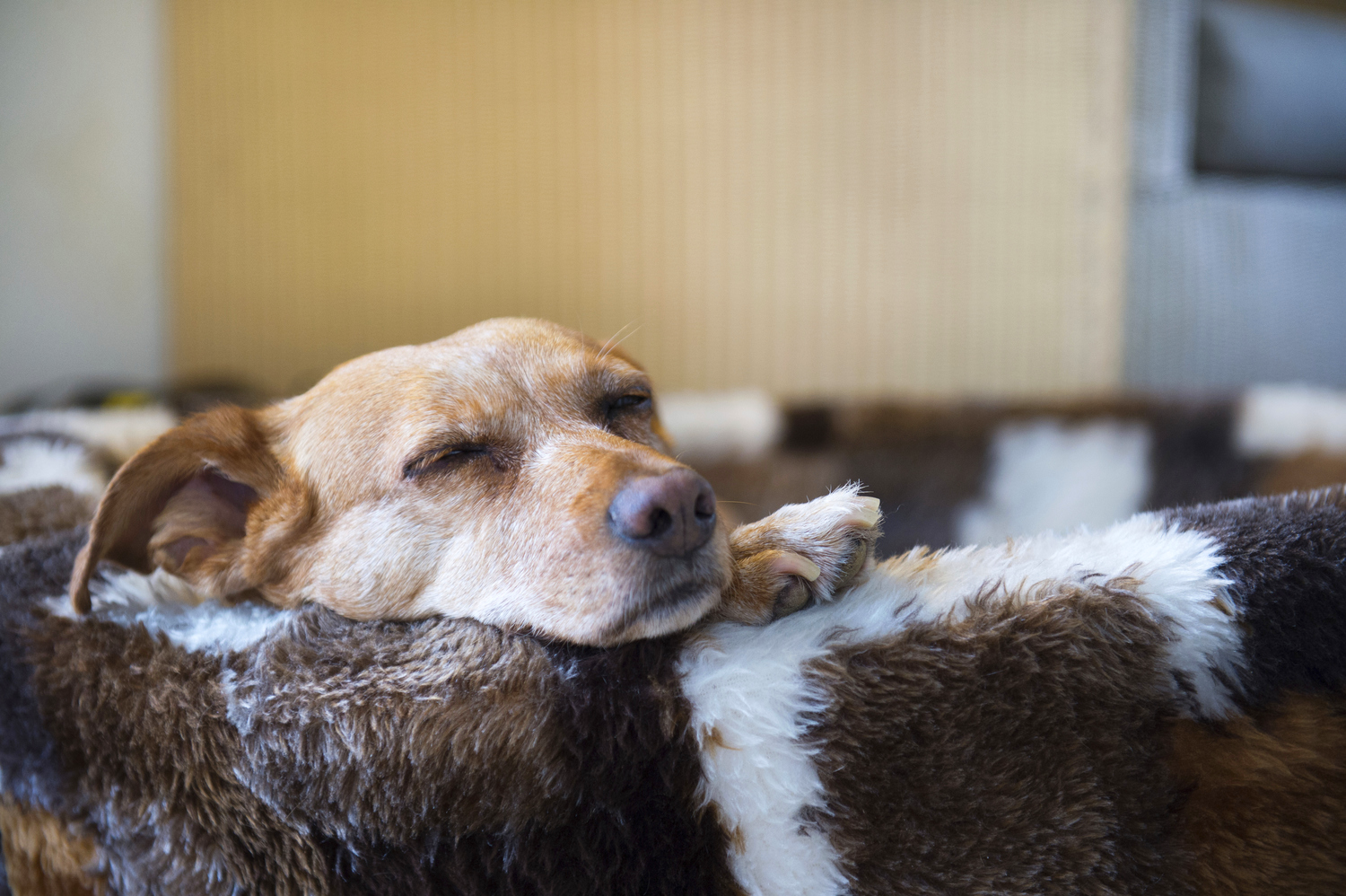 Photo by IvonneW/iStock / Getty Images