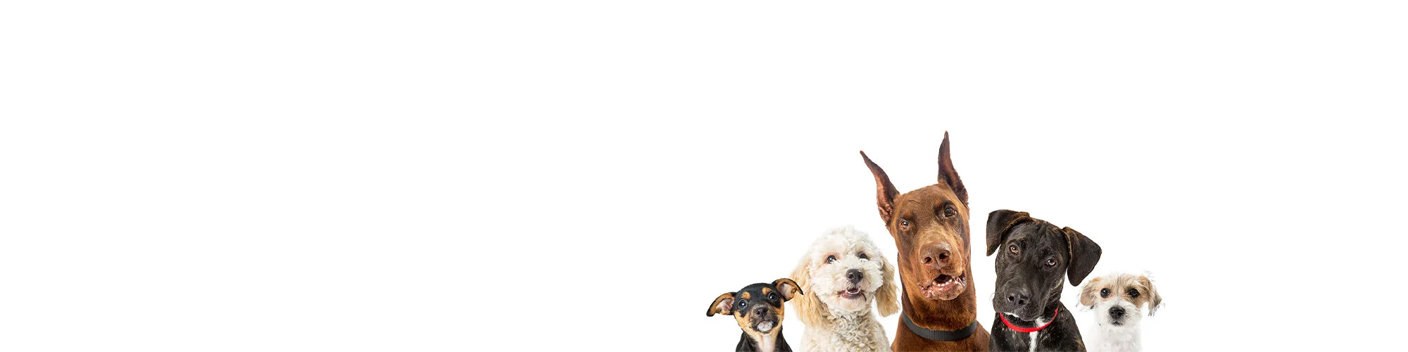 banner test.longer.reservation.2.jpg