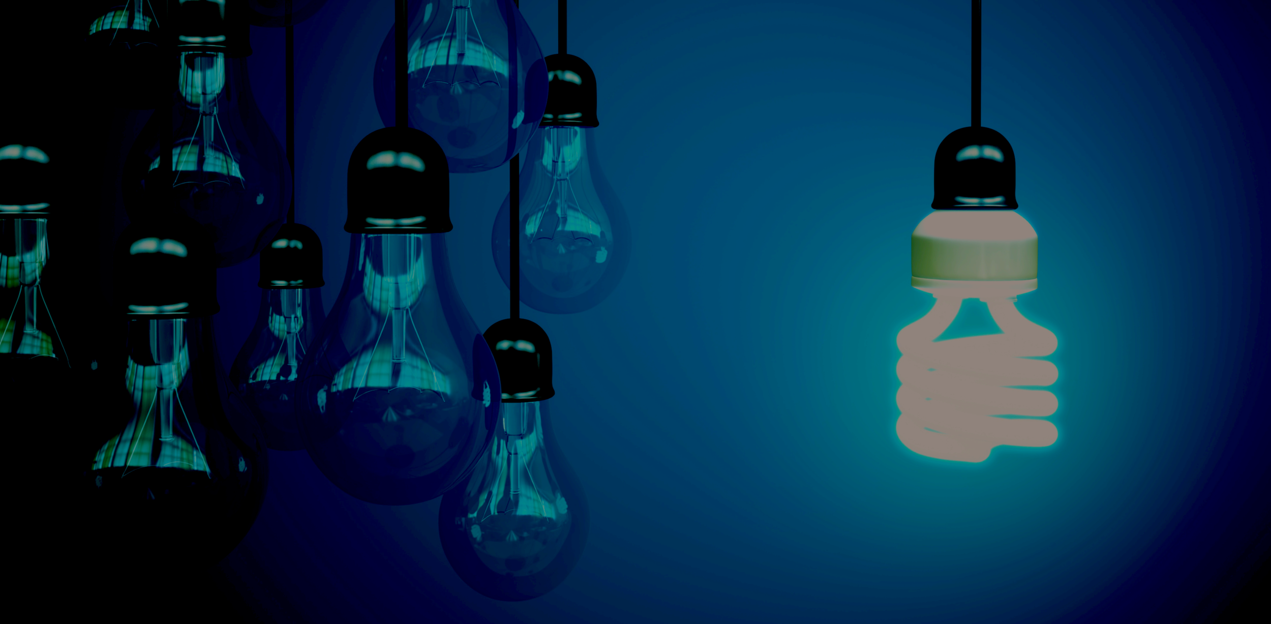 Provisional Patent Fees