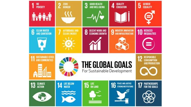 SPC SDGs-GlobalGoalsForSustainableDevelopment-05 72 dpi.jpg