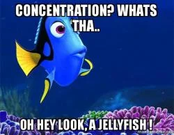 concentration-deep-work-dory-blog.jpg