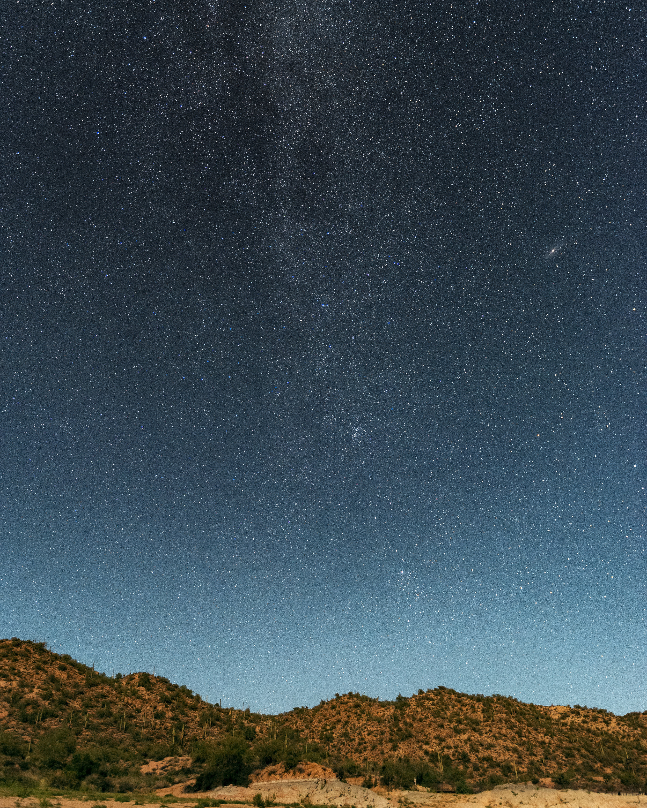 Starry Night in Arizona