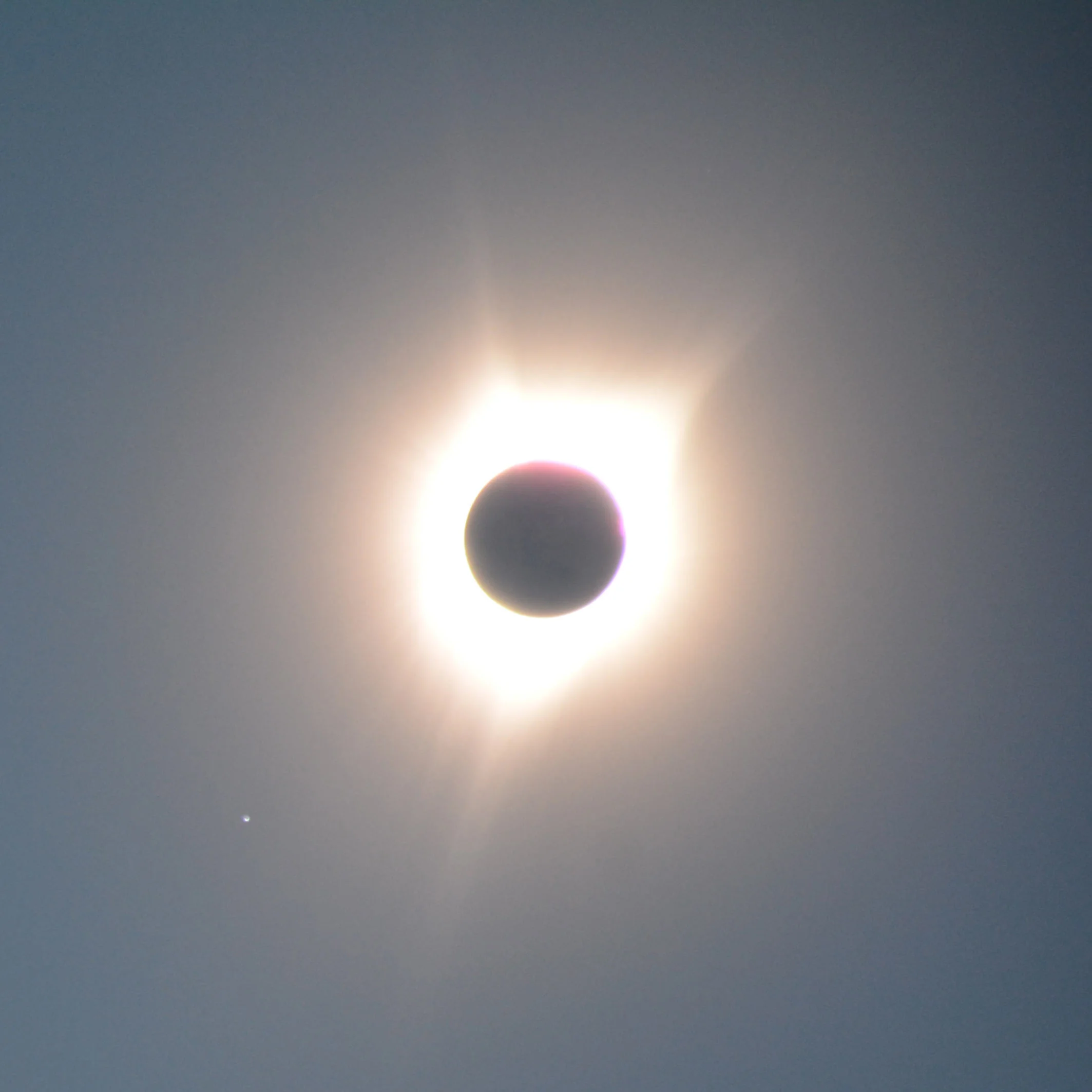 At this brief moment when it was totally covered I took the filter off my camera and got this one.