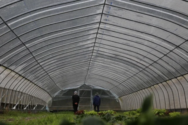 IZUHO-organic-farm-japan.jpg