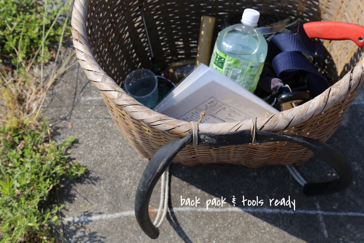 basket-ushima.jpg