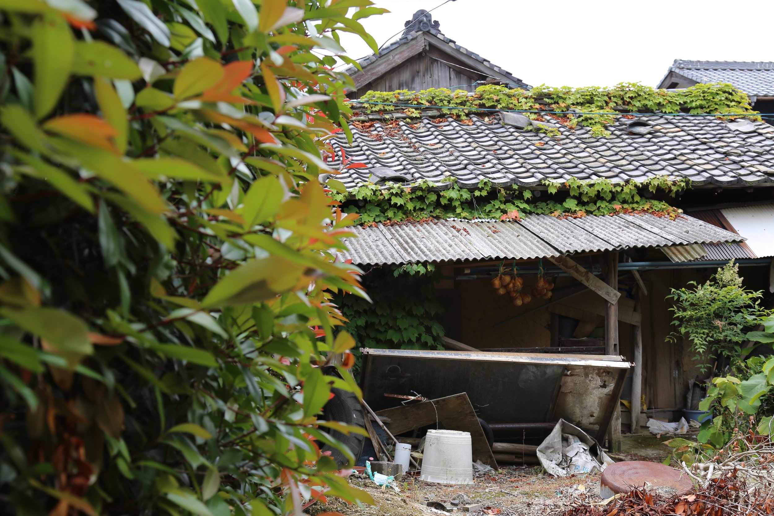 suo-oshima-farm-house