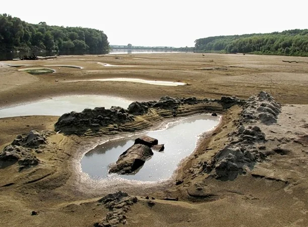 Mining-extracting-Bog-wood.jpg