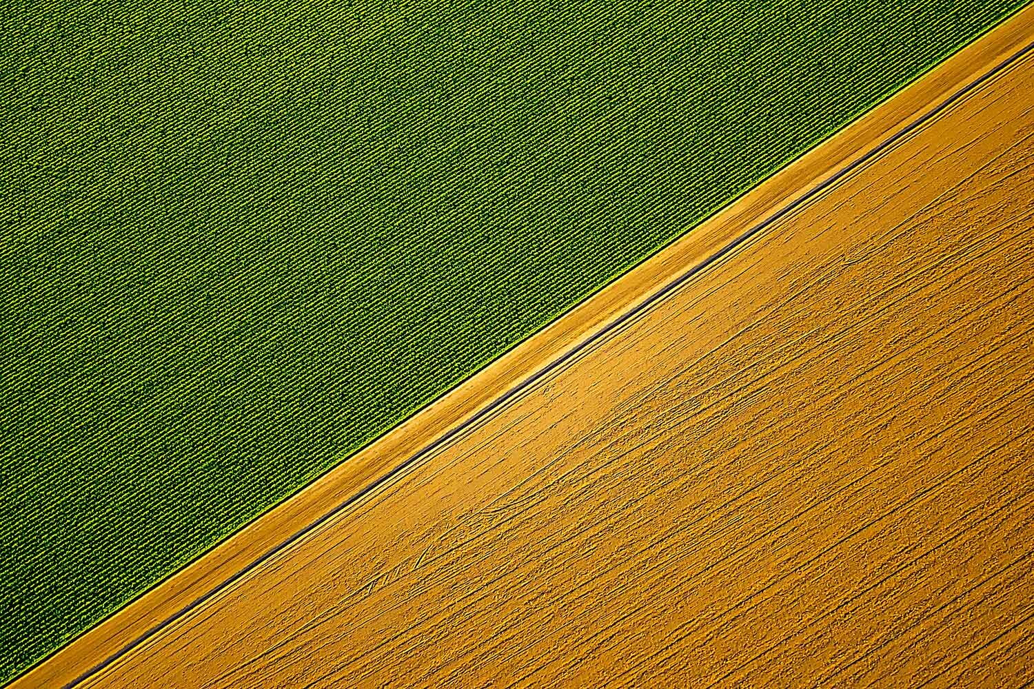 Field From Above