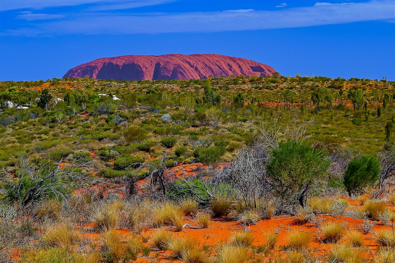 Uluru