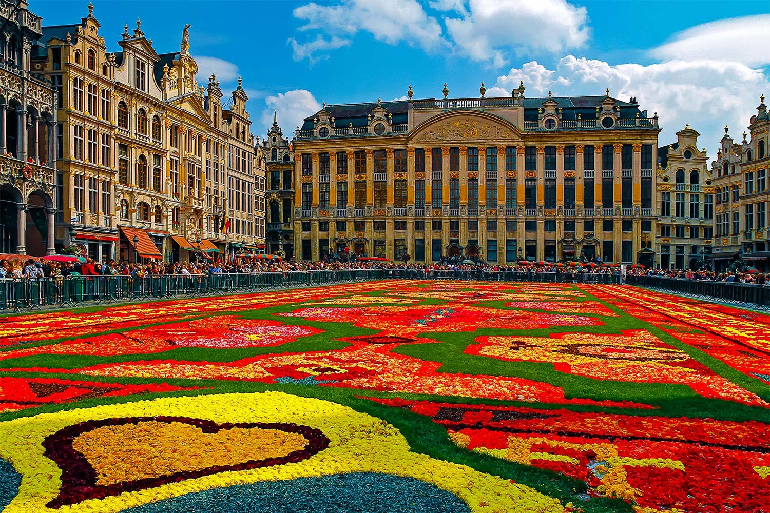 Flower Carpet