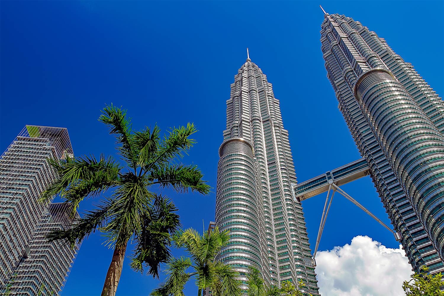 Petronas Towers