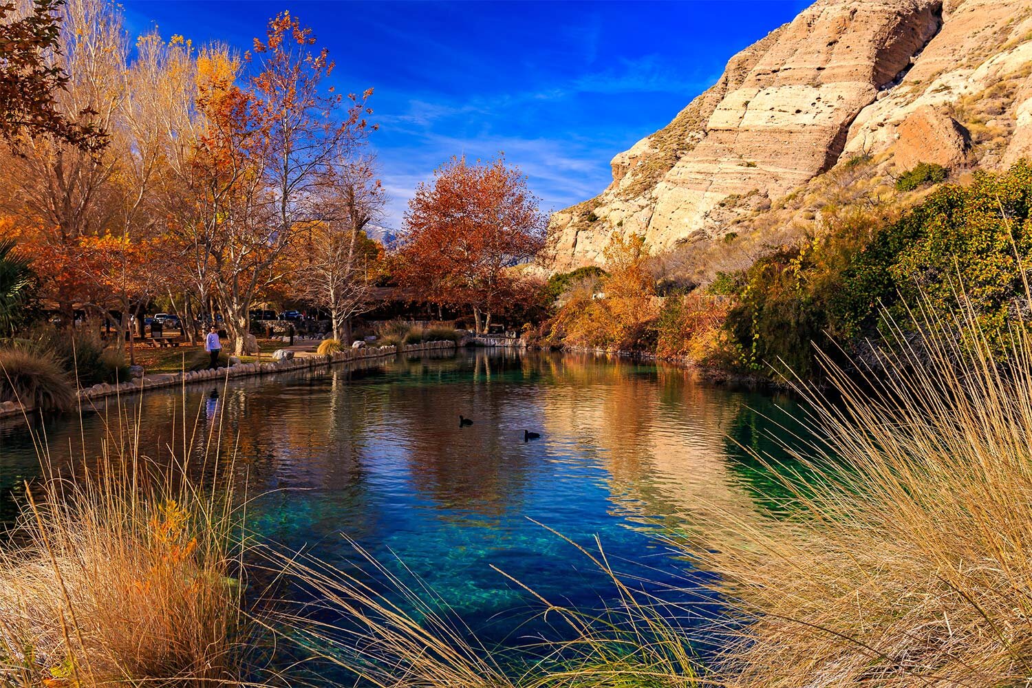 Whitewater Preserve