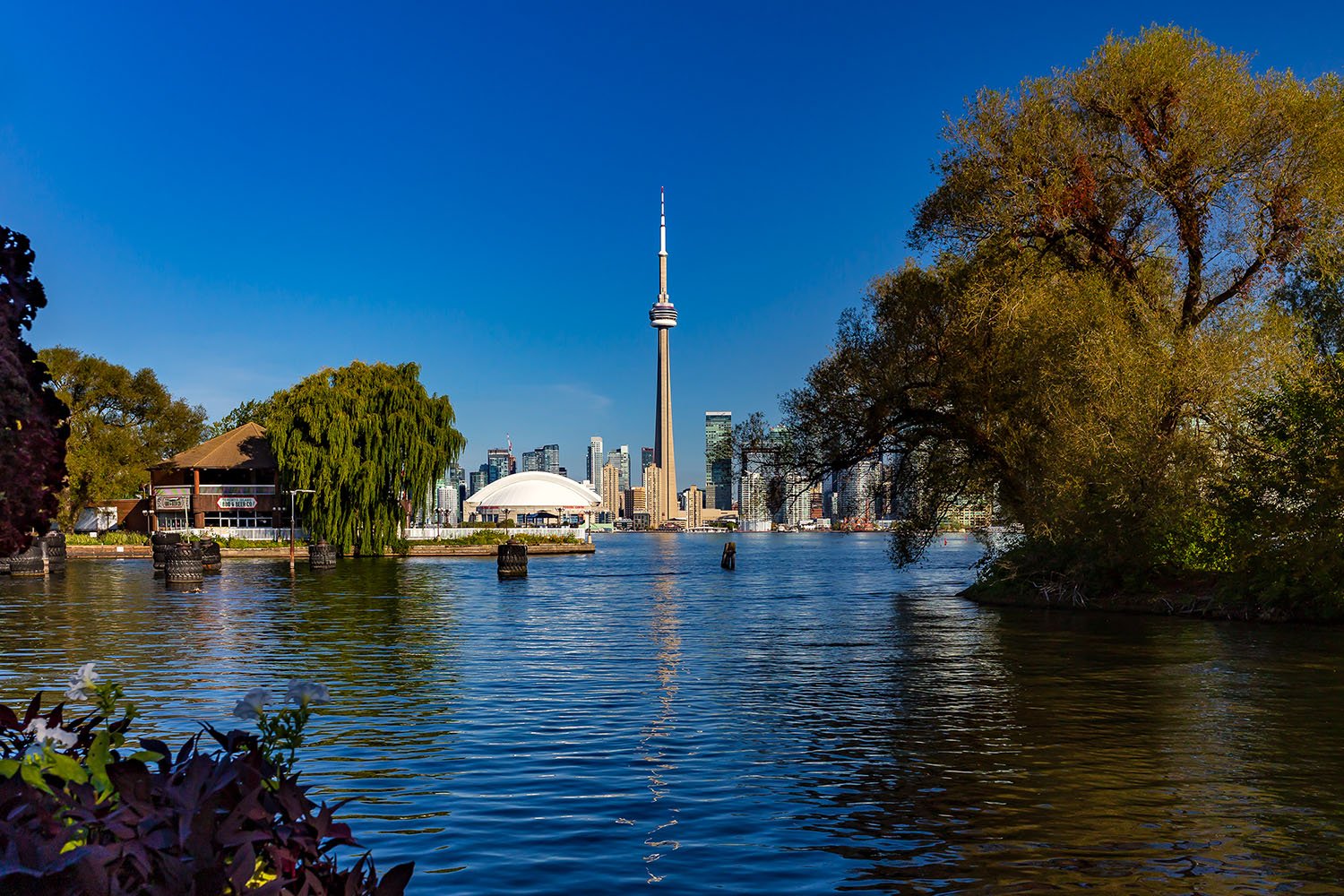 Skyline from the Islands