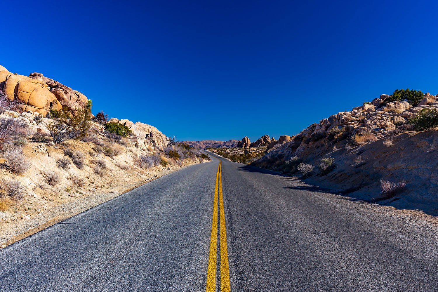 Joshua Tree National Park