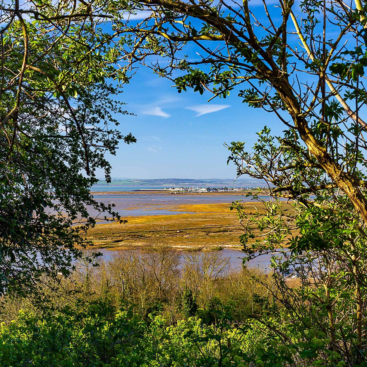 Estuary Views