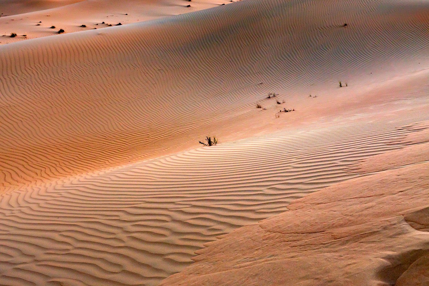 Drifting Sands