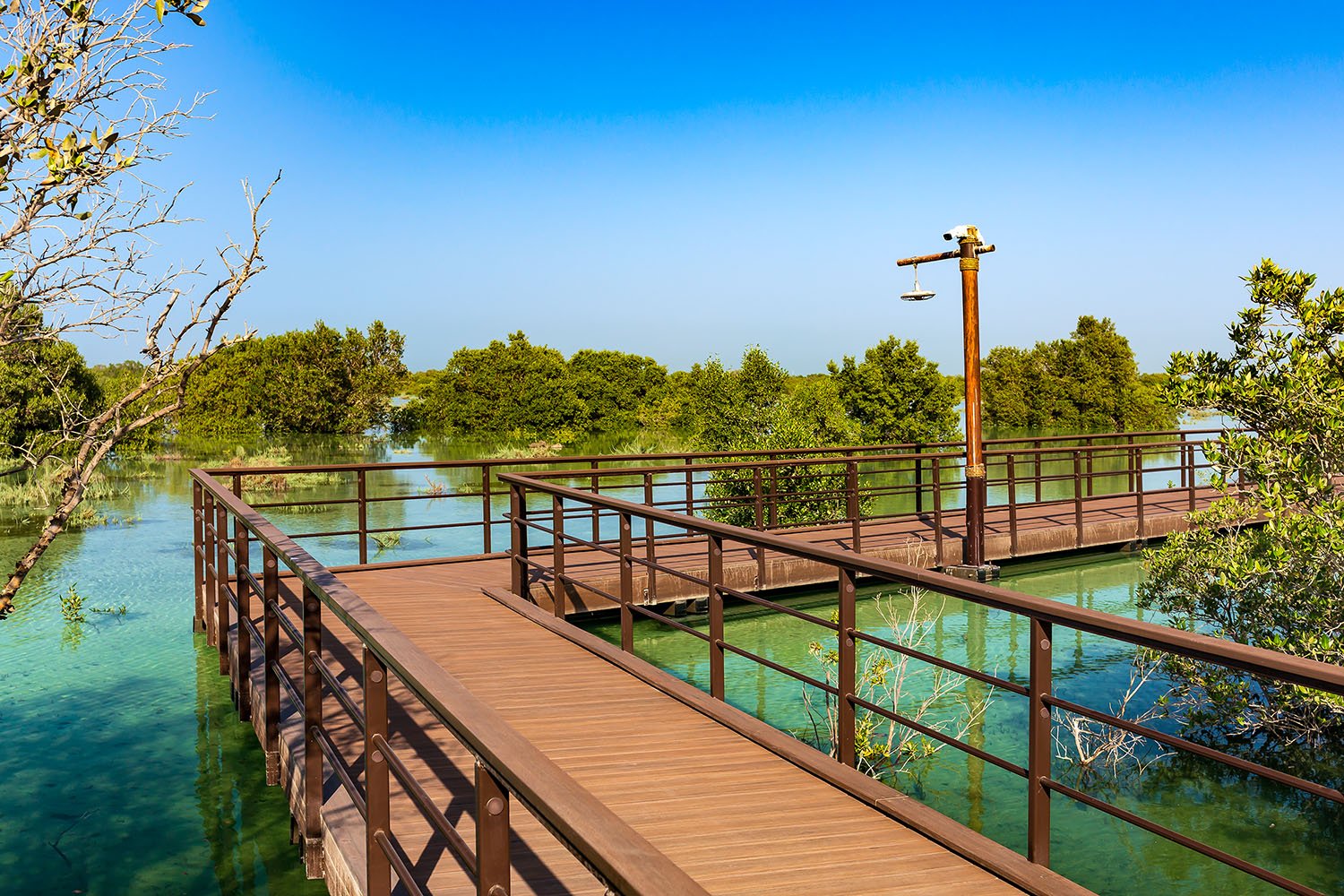 Jubail Mangrove Park