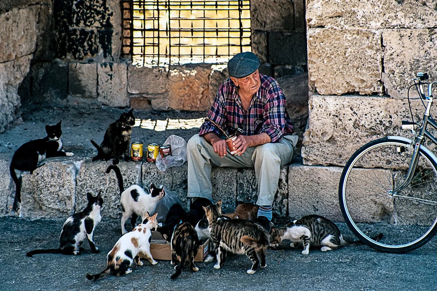 Cat Man

 

 Rhodes, Greece 