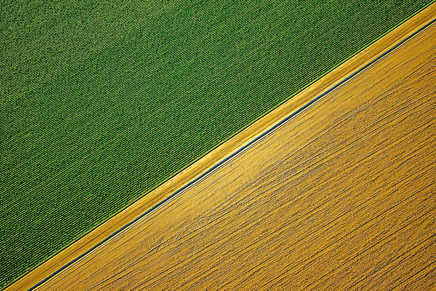 Field From Above

 

  1st Photography Masters Cup - 3rd Place - Honor of Distinction (Abstract)  Auctioned for $450 USD in aid of the APADEH children's day school in Curitiba, Brazil.   Palm Springs, California, USA 
